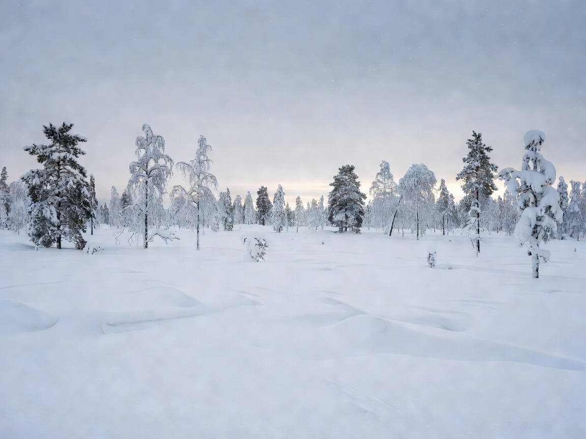 Luminen maisema Pohjois-Suomessa